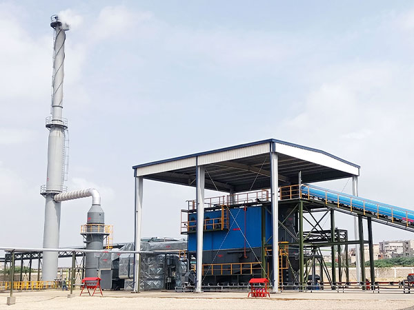 Domestic Project - coal-fired heat carrier boiler